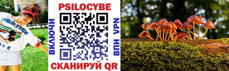 Галлюциногенные грибы MAGIC MUSHROOMS кракен ссылки Губкин